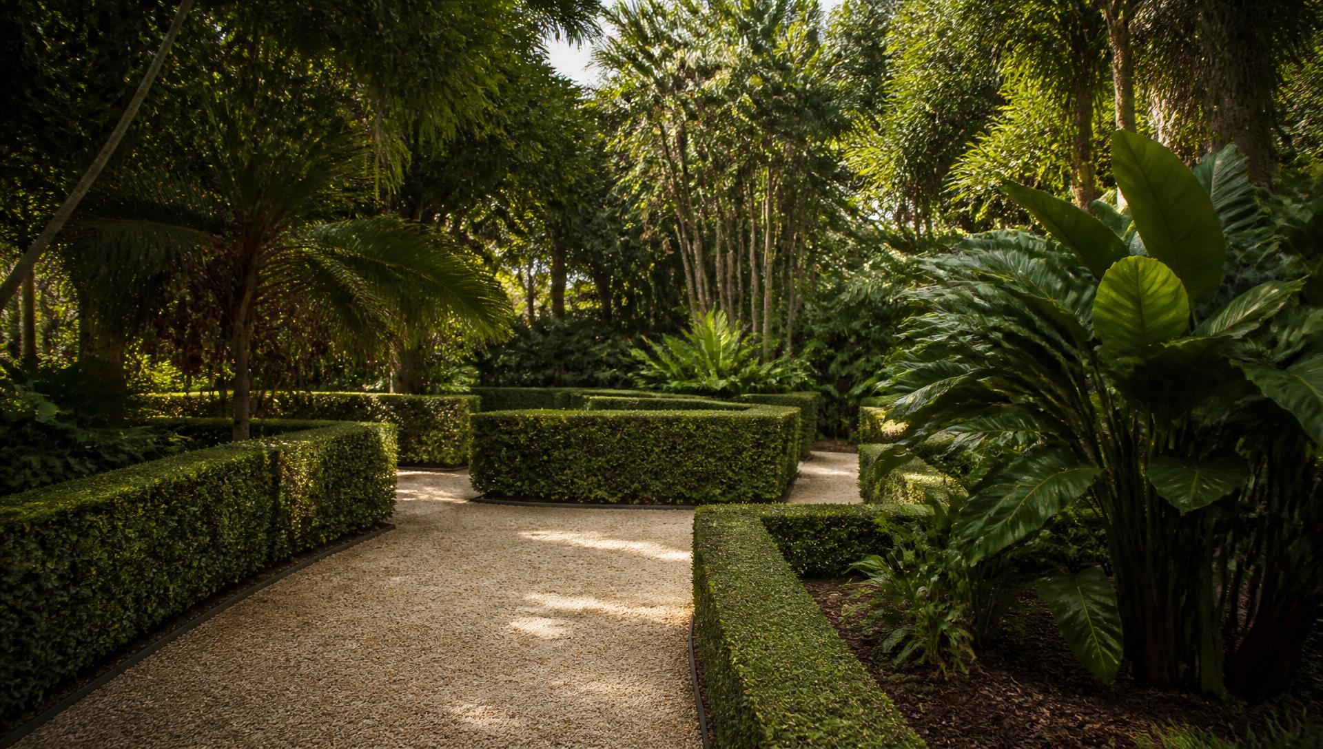 Tropical Townsville garden with clipped hedges